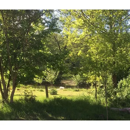 Lehrdetal Διαμέρισμα Walsrode